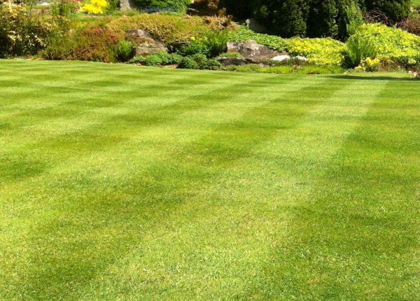 Commercial Grass Cutting in Lancaster