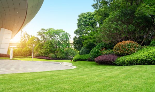 Commercial Lawn Care in Lancaster