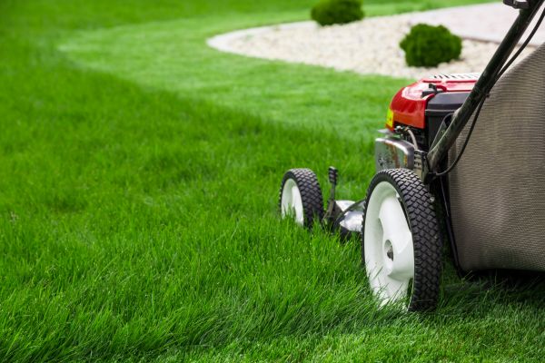 Grass Cutting Service in Lancaster
