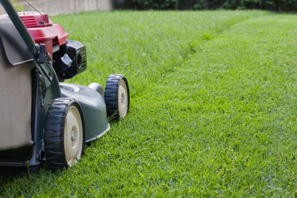 Lawn Care Service