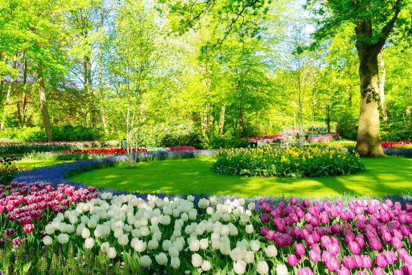 Spring Lawn Care in Lancaster