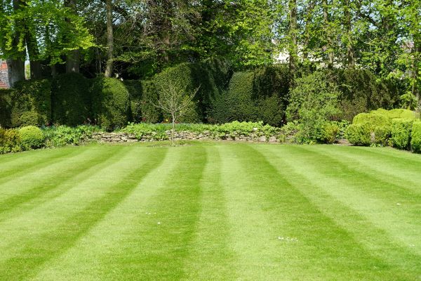 Grass Care Service in Lancaster