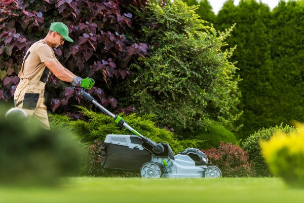 Lawn Management in Lancaster