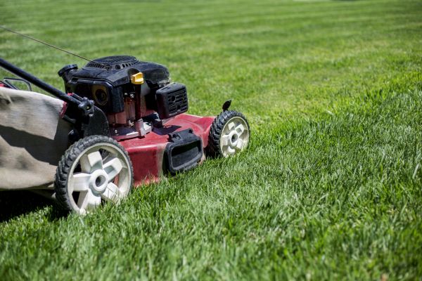 Routine Lawn Care
