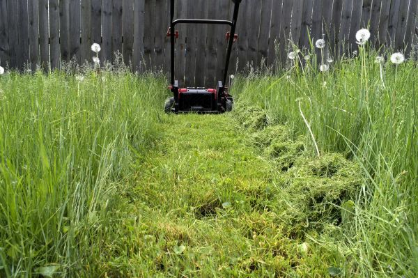 High Grass Mowing in Lancaster
