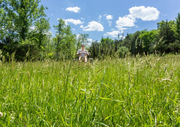 Long Grass Mowing in Lancaster