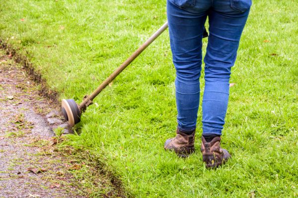 Weed Edging