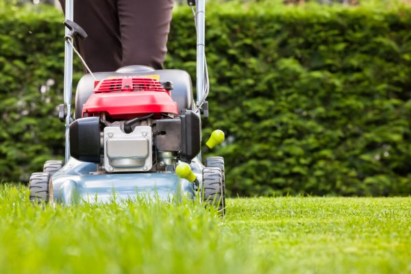 Grass Trimming Service in Lancaster