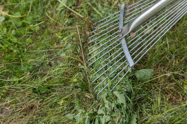 Thatch Raking in Lancaster