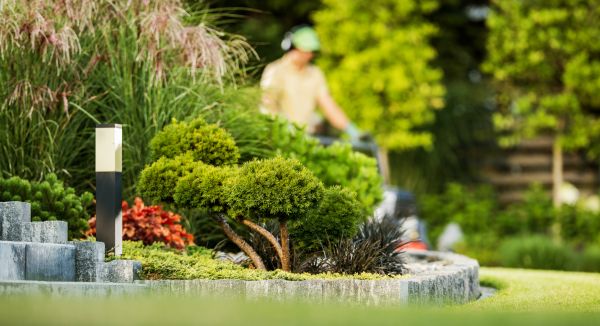 Residential Yard Maintenance in Lancaster