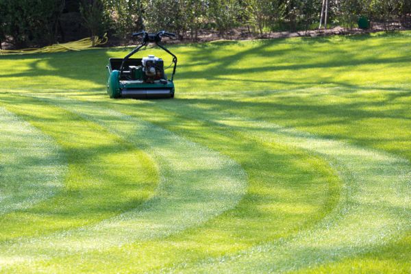 Business Lawn Mowing in Lancaster