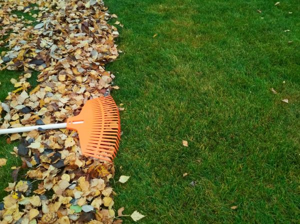 Fall Lawn Care in Lancaster