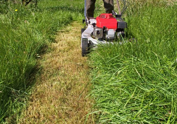Leaf Mowing in Lancaster