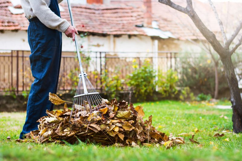 Leaf Raking Process