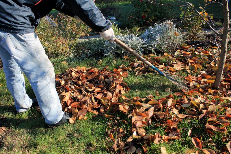 Autumn Lawn Maintenance