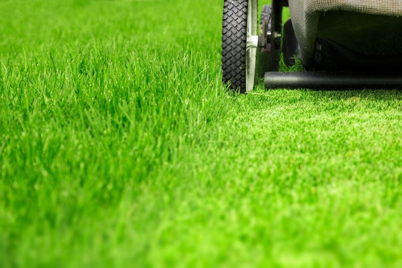 Close-up of Mowing Blades