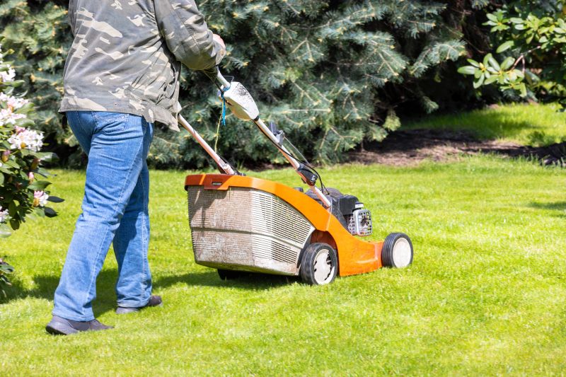 Springtime Lawn Care
