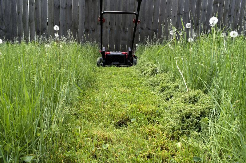 Optimal Mowing Frequency