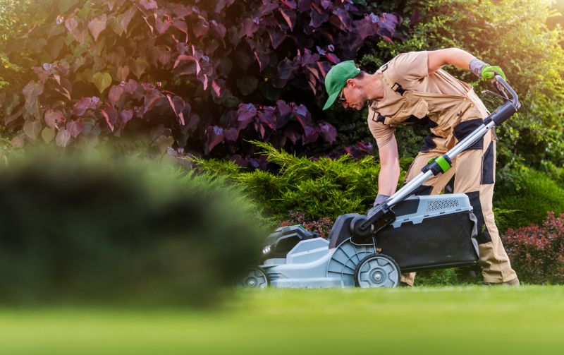 Professional Lawn Mowing Experts