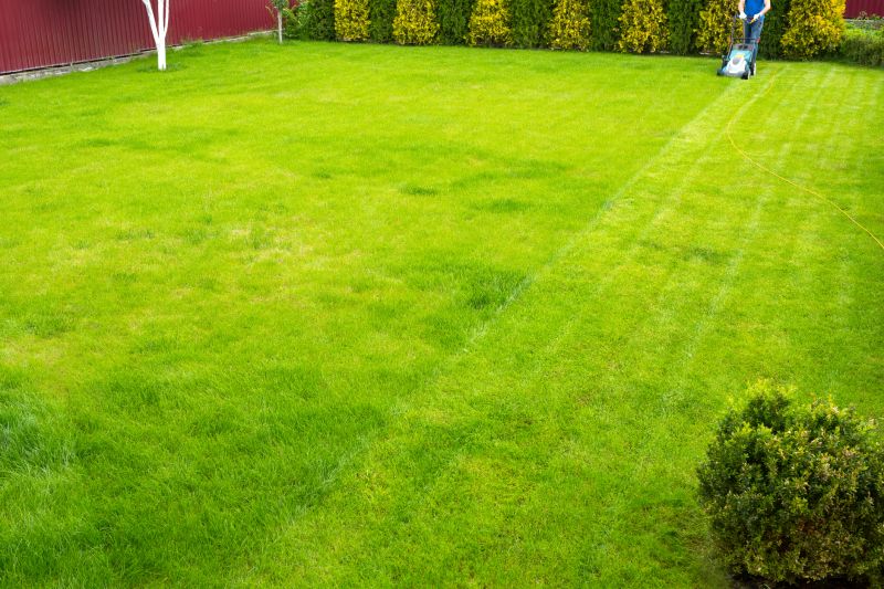 Reliable Lawn Care Companies